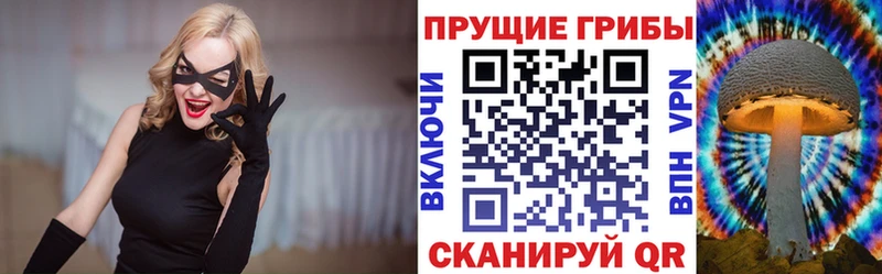 Псилоцибиновые грибы Psilocybe  Лобня 